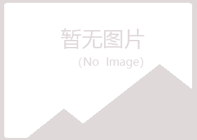 碌曲县紫山会计有限公司